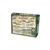 PZ1000 - Freshwater Fish Of North America -Jeux Périphériques Magasin cobble hill pz1000 freshwater fish of north americ