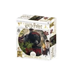 PZ500 - Image 3D - Harry Potter - 24X18 Pouces