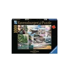 Ravensburger PZ1000 - Voyage Sur La Côte Ouest