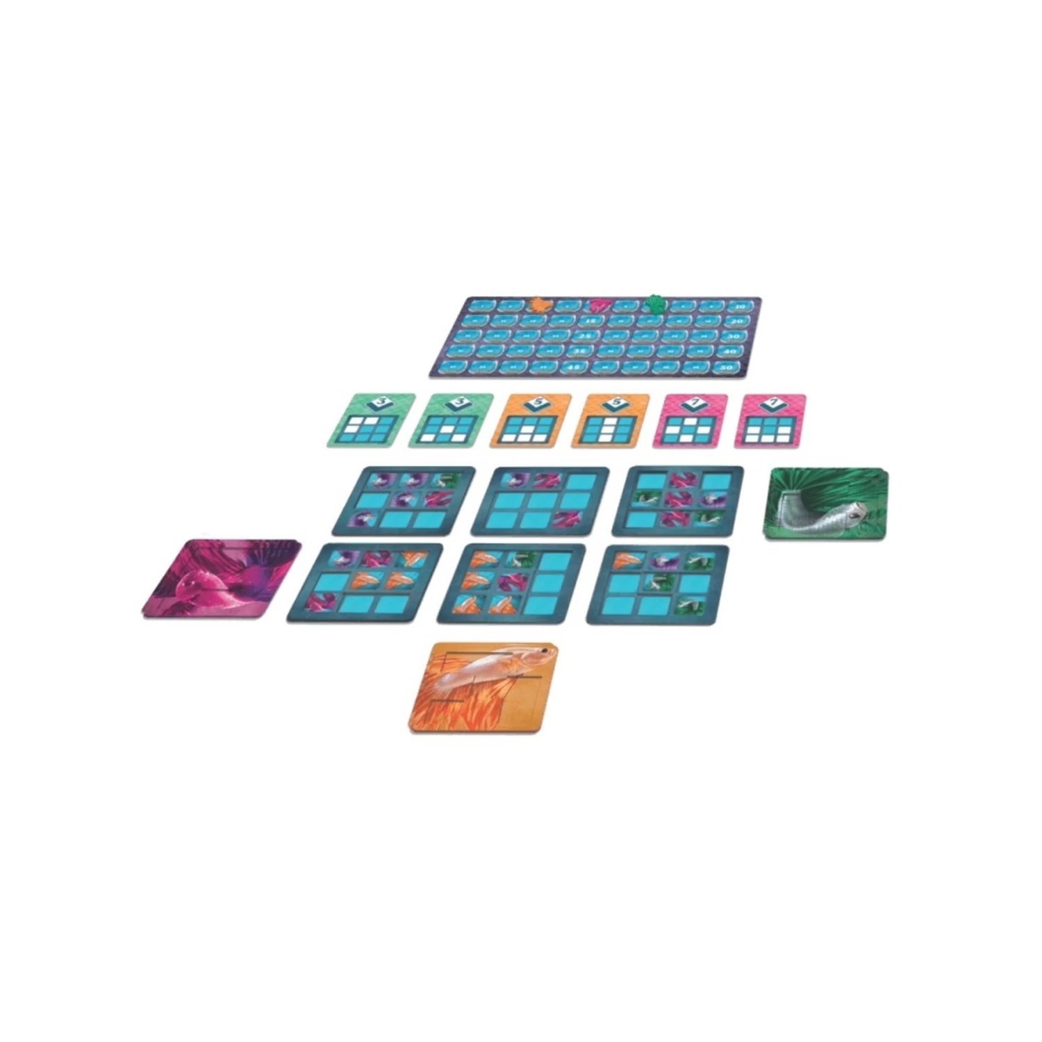 Betta (Multilingue) 4 Betta (Multilingue) – Image 2